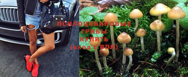 герыч Богданович